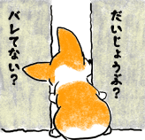 070710b.gif