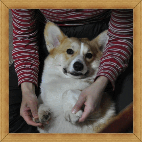 あ〜きもちえ〜♪.gif