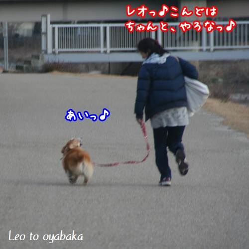 あいっ♪.jpg