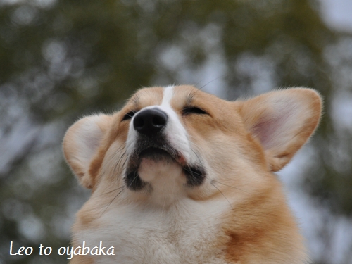 あたたかくしておねむやねっ♪.jpg