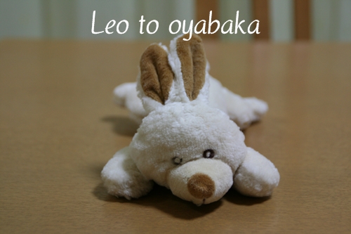 あたちうさぎのらびちゃんだよっ♪.jpg