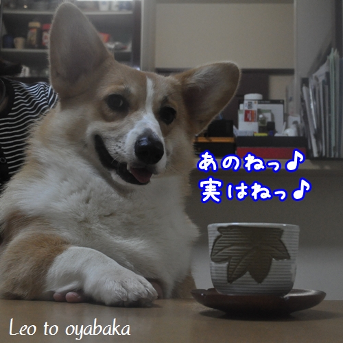 あのねっ♪実はねっ♪.jpg