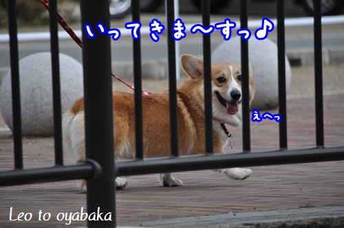 いってきま〜す♪.jpg