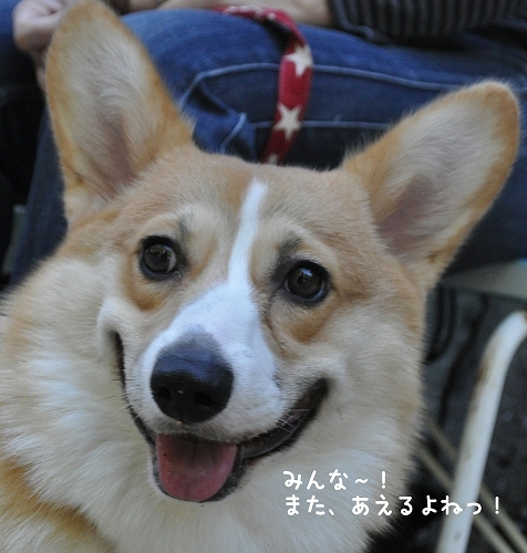 いつかまたあえるとよいねっ.jpg