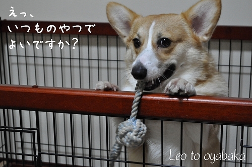 いつものやつで良いですか?.jpg