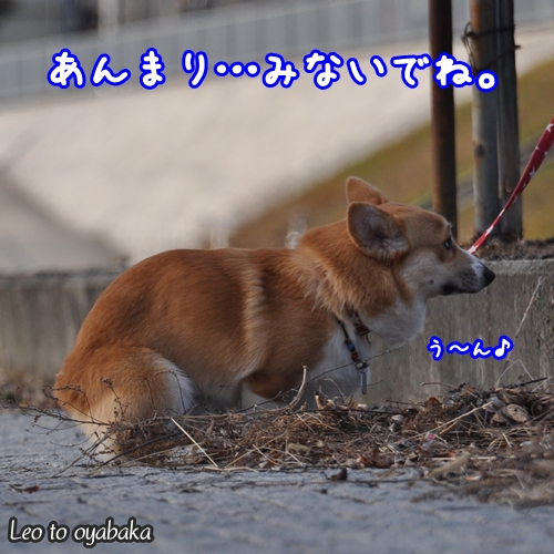 う〜ん中.jpg