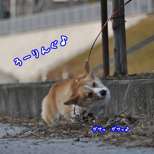 うひゃうひゃの舞い♪.gif