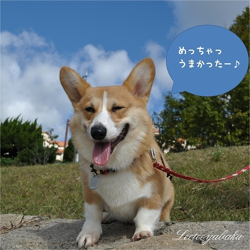 うまかった〜♪.jpg
