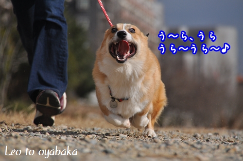 うらうらうら〜♪.jpg
