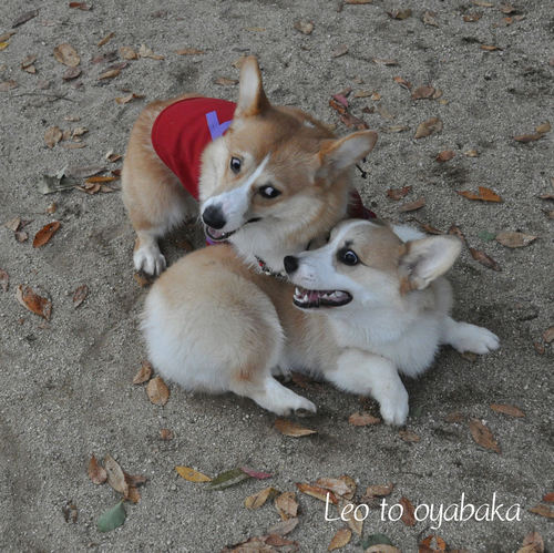 うりゃ〜♪.jpg