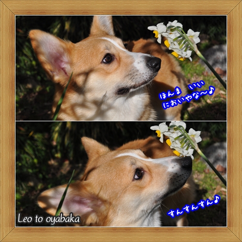 え〜においやな♪.jpg