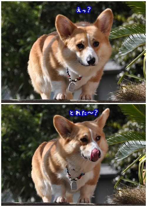 えっ?取れた?.jpg
