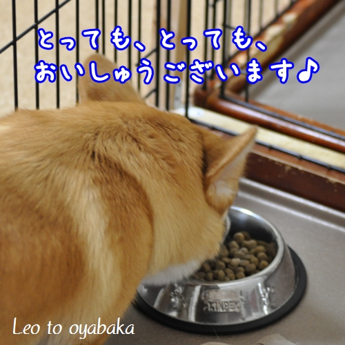 おいしゅうございます♪.jpg