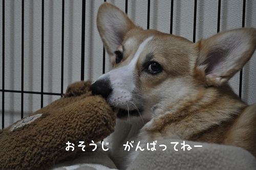 おそうじがんばって.jpg