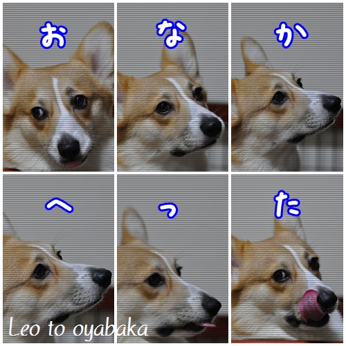 おなか減った.jpg