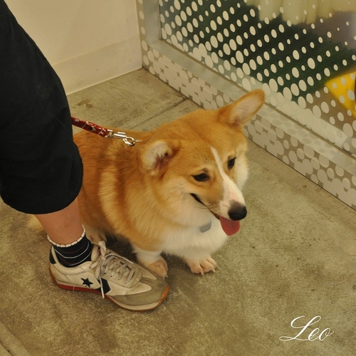 おめでとう.jpg