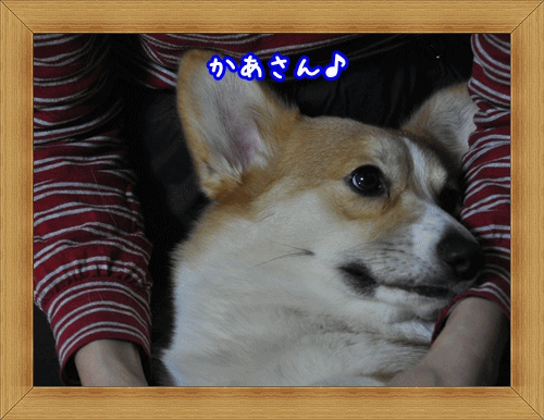 かあさんありがとう♪.gif
