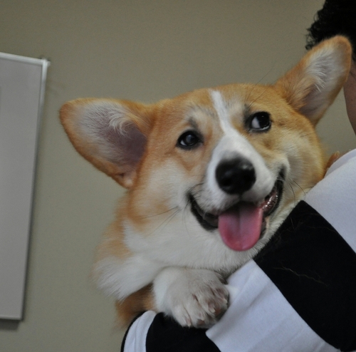 きっと.jpg