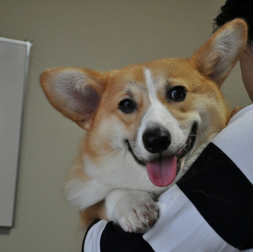 きょうねっ.jpg