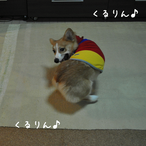 くるりん♪くるりん♪.gif