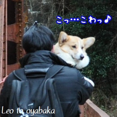 こっ…こわっ♪.jpg