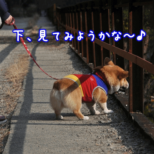 こわっ♪.gif