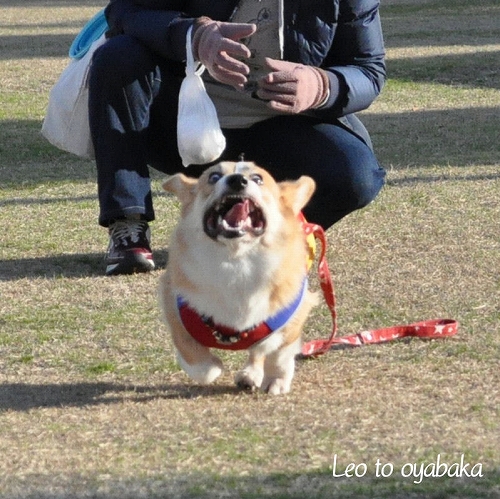 そんなお顔で.jpg