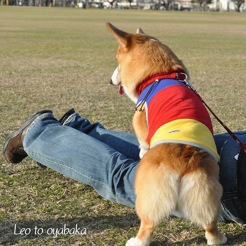 とうさん、おきて〜♪.jpg