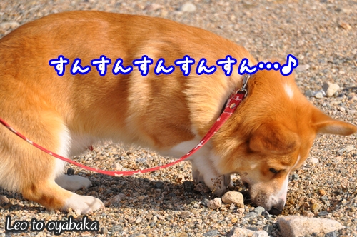 とうさん、このあたり何か感じまるよ♪.jpg