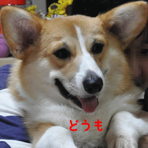 どうもありがとう.gif