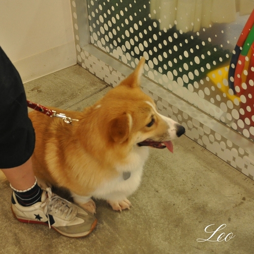 なつかしいね〜.jpg