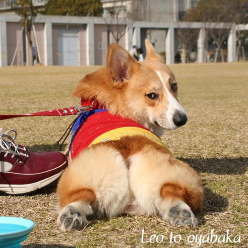 なにか?.jpg