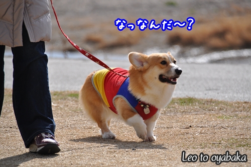 なんだ〜?.jpg