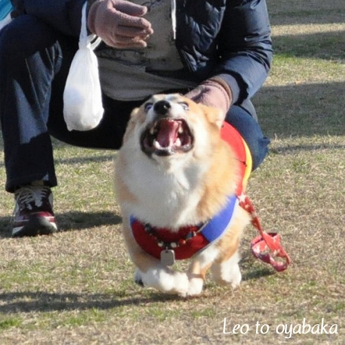 なんで君は? .jpg