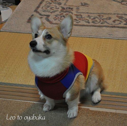 にあう〜♪.jpg