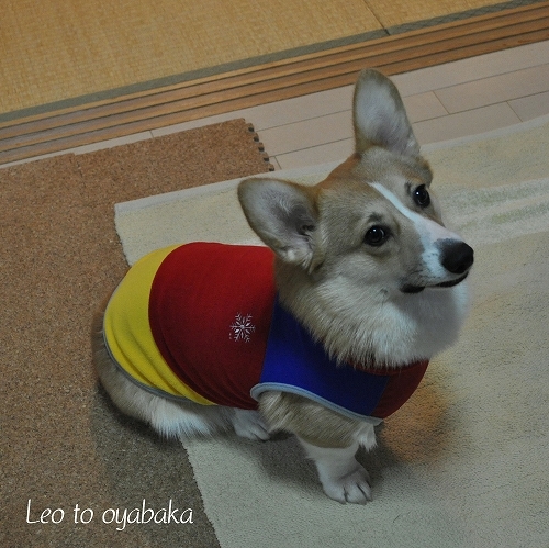 にあう〜♪2.jpg