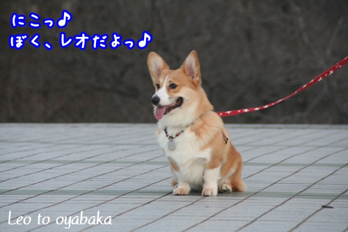 にこっ♪.jpg