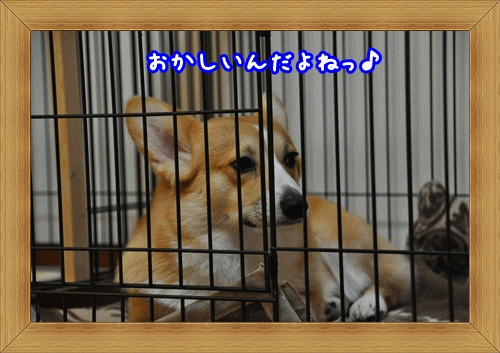 ねちゃうんだよね〜♪.gif