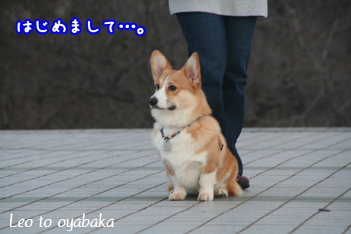 はじめまして.jpg