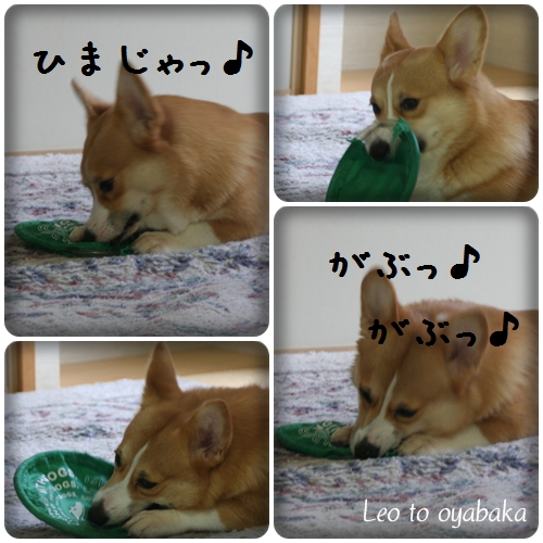 ひまじゃがぶがぶっ♪.jpg