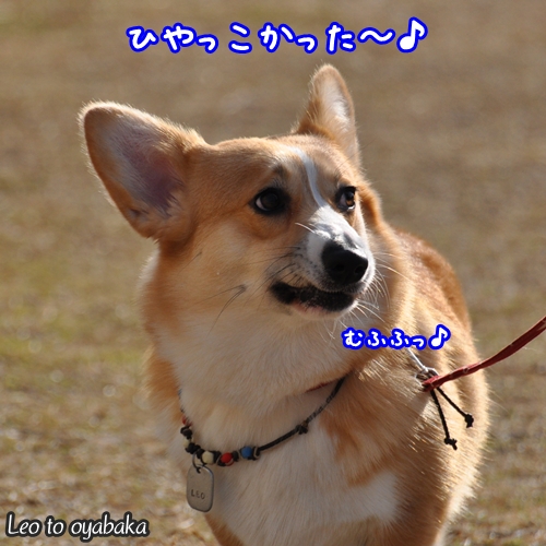 ひやっこかった〜♪.jpg