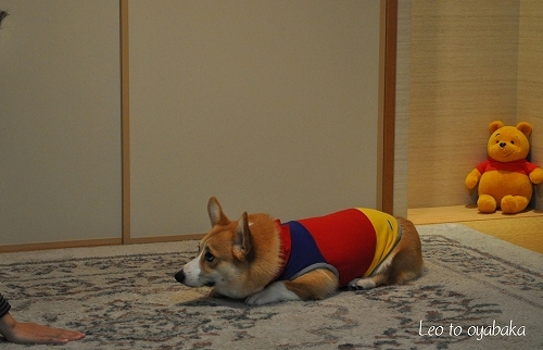 ふせっ♪.jpg