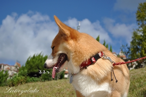 ふふっ.jpg