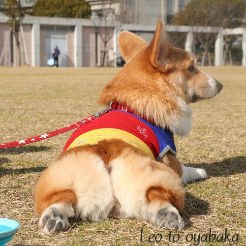 べチャ〜と♪.jpg