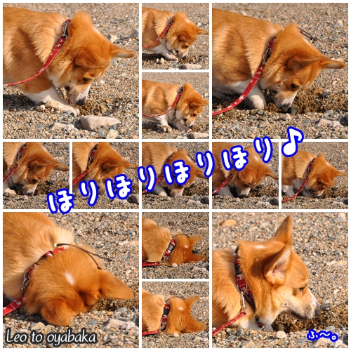 ほりほり♪.jpg