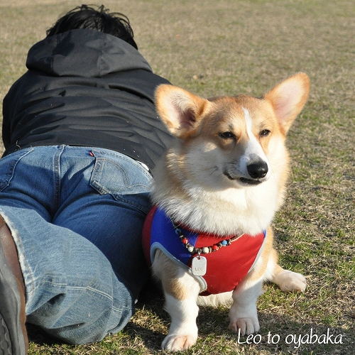 ぼく、少し寝たよっ♪.jpg