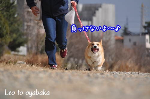 まっけないよ♪.jpg