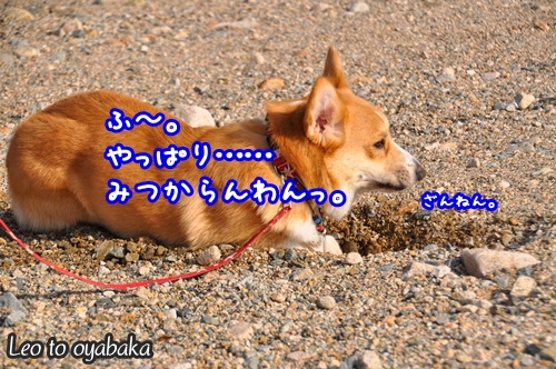 みつからんわっ。.jpg