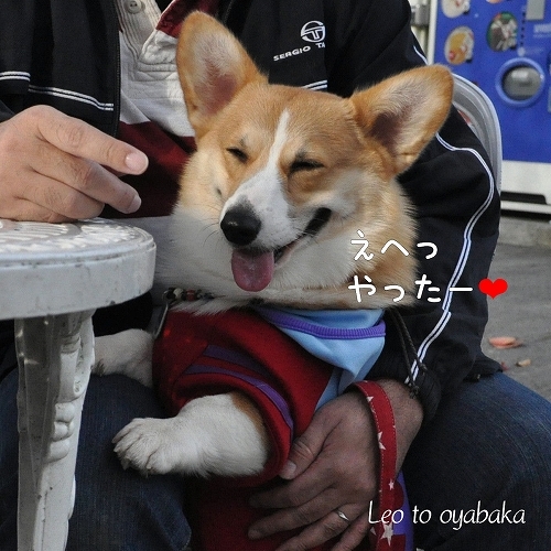 やった〜♪.jpg