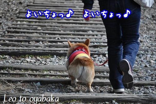 よいちょ、よいちょ♪.jpg
